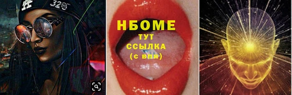 прущие грибы Вязьма