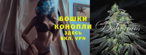 ГАЛЛЮЦИНОГЕННЫЕ ГРИБЫ Вязники