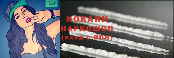 прущие грибы Вязьма