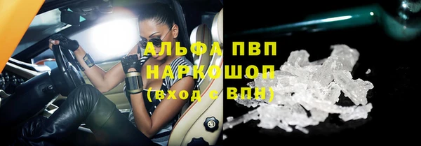прущие грибы Вязьма